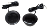 Rockford Fosgate R1TS