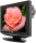 Sharp LC-26DV22U - Left Angle With DVD