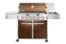 Outdoor Grills /BBQs