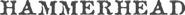 Hammerhead
