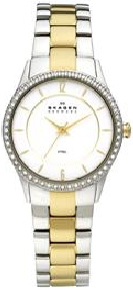 Skagen Silver And Gold Steel Womens Watch - 347SSGX