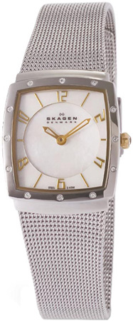 Skagen Steel Classic Shiny Square Case Mesh Womens Watch - 396XSGS