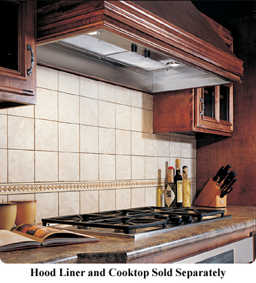 Dacor Integrated Ventilation System In Stainless Steel - IVS1