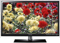 Samsung 22" Series 5 LED Black Flat Panel LCD HDTV