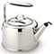 All-Clad Stainless Steel Tea Kettle