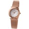 Skagen Steel Rose Gold Mesh With Glitz Ladies Watch