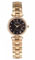 Skagen Rose Gold Tone Stainless Steel Womens Watch