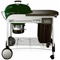 Weber Performer Green Charcoal Grill