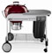 Weber Brick Red 22.5" Performer Platinum Charcoal Grill