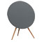 Bang & Olufsen BeoPlay A9 Silver Speaker Cover