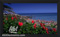 Bang & Olufsen Black 65" BeoVision 4 HD Plasma Television