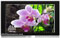Bang & Olufsen Aluminum 40" BeoVision 7 LCD Flat Panel Television