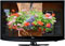 LG 19" Black LCD Flat Panel HDTV