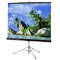Draper Matte White Diplomat/R Portable Projection Screen