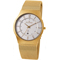Skagen Steel Gold Mesh Mens Watch