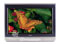 Toshiba 26" Tube HDTV