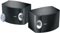 Bose 301 Series V Direct/Reflecting Speaker System