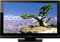 Toshiba 32" Black LCD Flat Panel HDTV