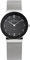 Skagen Steel Mesh Ladies Watch