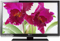 Toshiba 55" Black LED Flat Panel HDTV