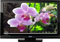 Toshiba 46" Black 1080p HD LCD Flat Panel Television