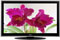 Toshiba 46" Regza Cinema Series LED Black Flat Panel LCD HDTV