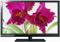Toshiba 55" 3D Black LED Flat Panel HDTV