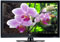 LG 55" Black LCD Flat Panel HDTV