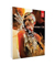 Adobe Illustrator CS6 Complete Package For Windows