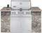 Weber Summit S-460 Built In Natural Gas Grill