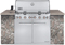 Weber Summit S-660 Built In Natural Gas Grill