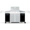 Weber Genesis Black Island Grill Cabinetry