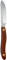 New West KnifeWorks Fusionwood Cocobolo Paring Knife