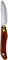 New West KnifeWorks Fusionwood Sunburst Paring Knife