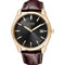 Citizen Eco-Drive Strap Black Dial Men's Watch