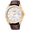 Citizen Eco-Drive Perpetual Calendar Mens Watch