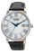 Citizen Eco-Drive Stainless Steel Mens Strap Watch