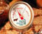 Big Green Egg Steak Button Thermometer