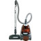 Electrolux UltraActive Deepclean Canister Vacuum