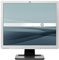 HP 19" Silver LCD Computer Monitor