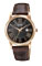 Citizen Eco-Drive Ladies Strap Brown Leather Womens Watch