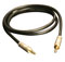 Pac Audio iSimple Auxiliary Input Cable