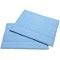 HAAN Replacement Micro-Fiber Steam Mop Pads