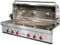 Wolf 54" Stainless Steel Outdoor Built-In Natural Gas Grill