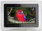 Haier 7" Digital Photo Frame