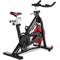 ProForm 290 SPX Exercise Bike