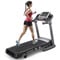 ProForm Power 1080 Treadmill