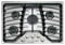 GE Profile 30" Stainless Steel Gas Cooktop