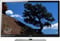 Samsung 59" Series 5 Black Flat Panel Plasma HDTV