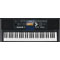Yamaha E Series 61-Key Touch Response Keyboard And Survival Kit B